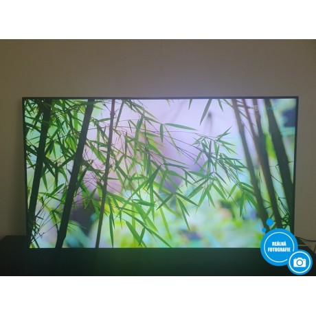 OLED SMART Televizor Sony KD55AG8